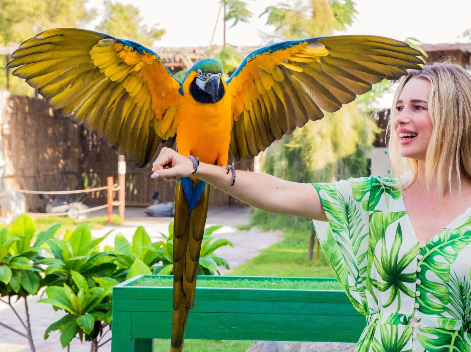 Emirates Park Zoo Resort